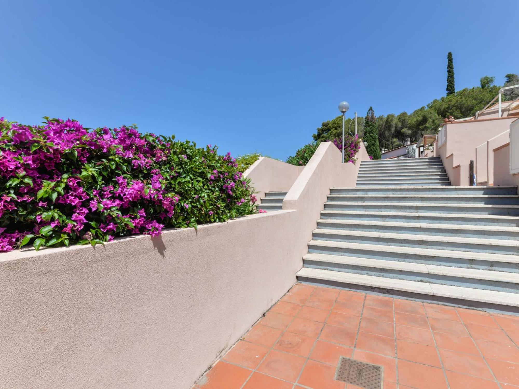 Apartment Cala Rossa-1 By Interhome Nisporto ภายนอก รูปภาพ